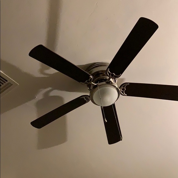 Meet your Posher, Luis - Picture 1 of 1